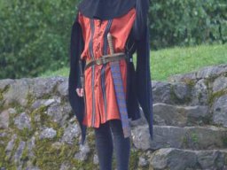 Die Bürger von Frankenberg (2009)